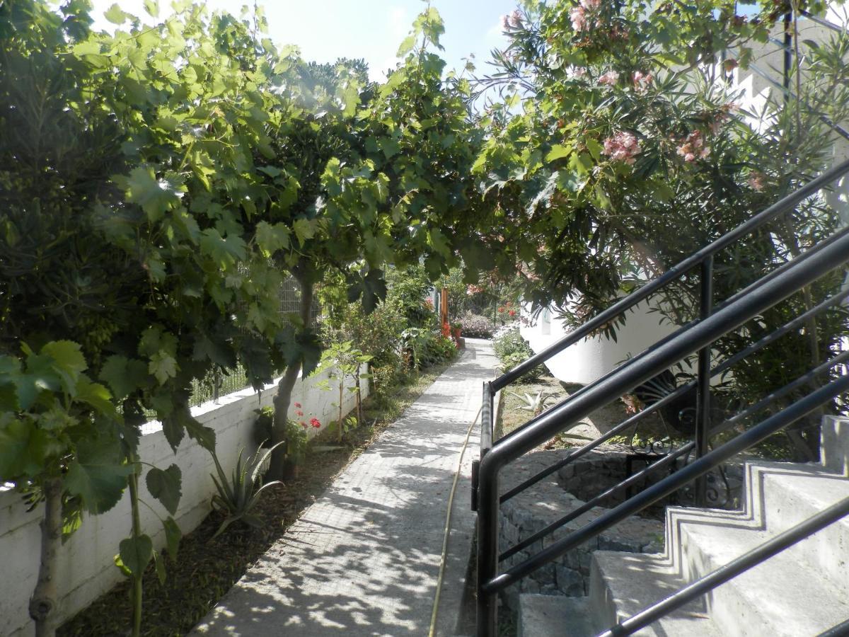 Silvi Mari Apartments Платанес Екстер'єр фото
